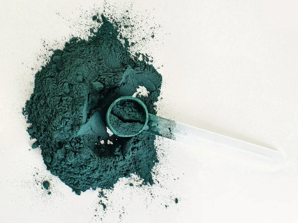 Green microalgae protein powder with a scoop