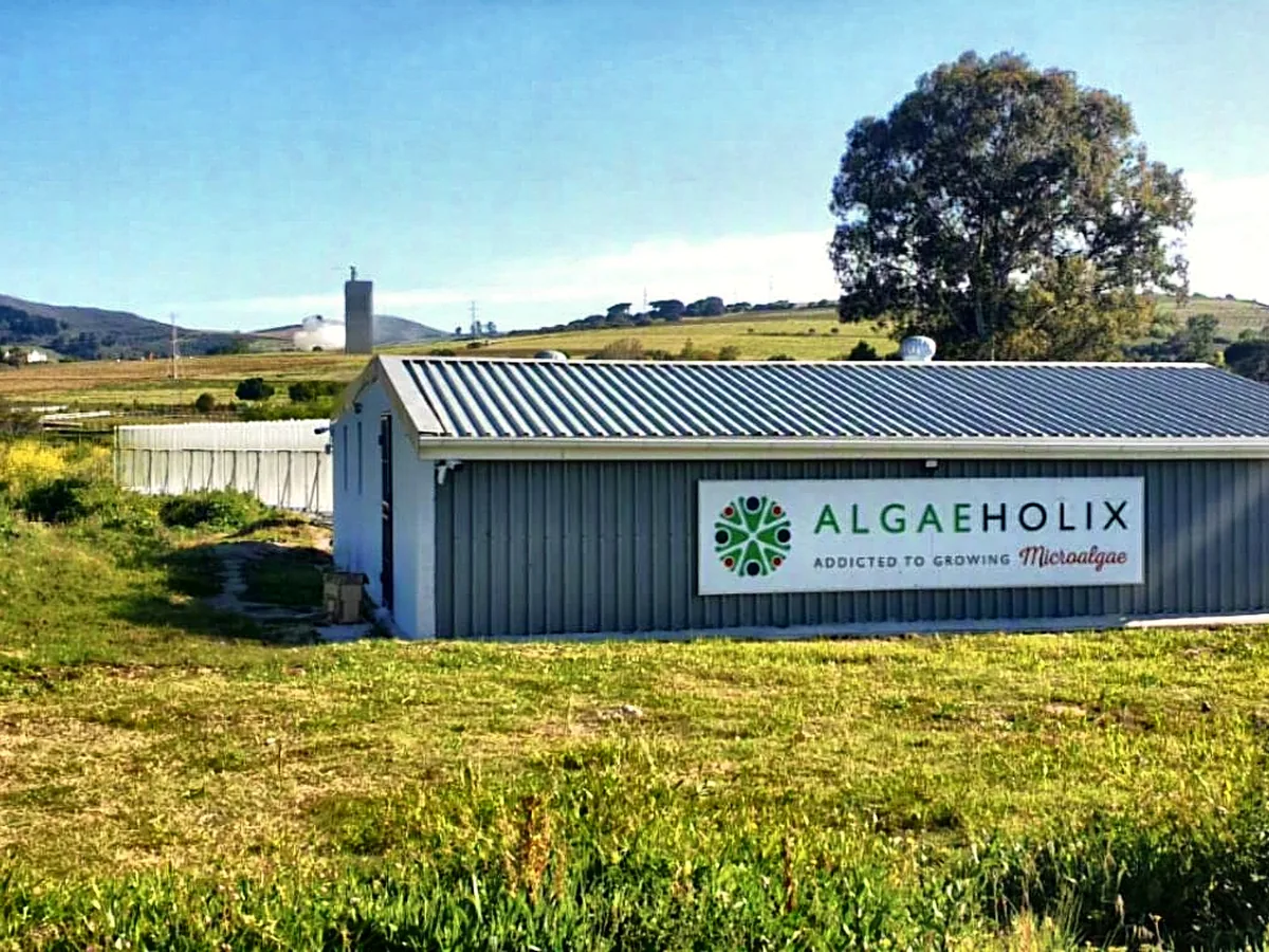 Algaeholix facility on Farm Kleinbegin, Stellenbosch
