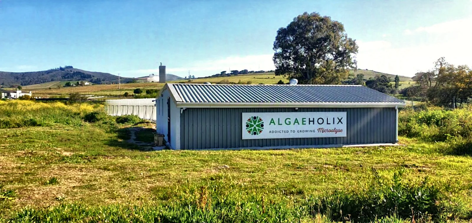 Algaeholix facility on the farm