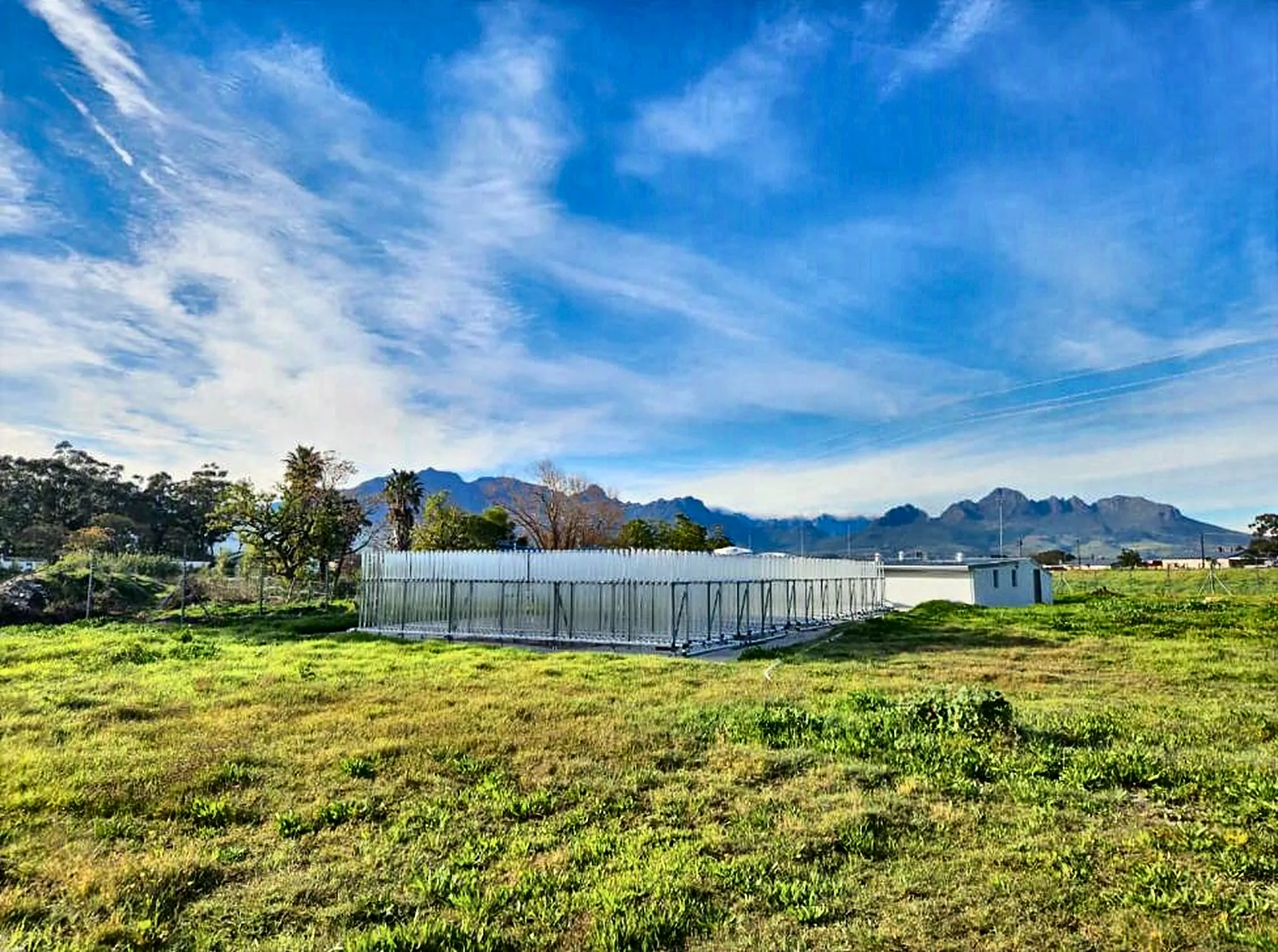 Algaeholix glass tube photobioreactor in front of the Stellenbosch mountains